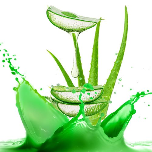 Aloe Vera Biostile