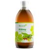 Kidney - biljni koncentrirani sok za bubrege