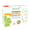 Collagen Powder Blend + Hijaluronska kiselina Biostile